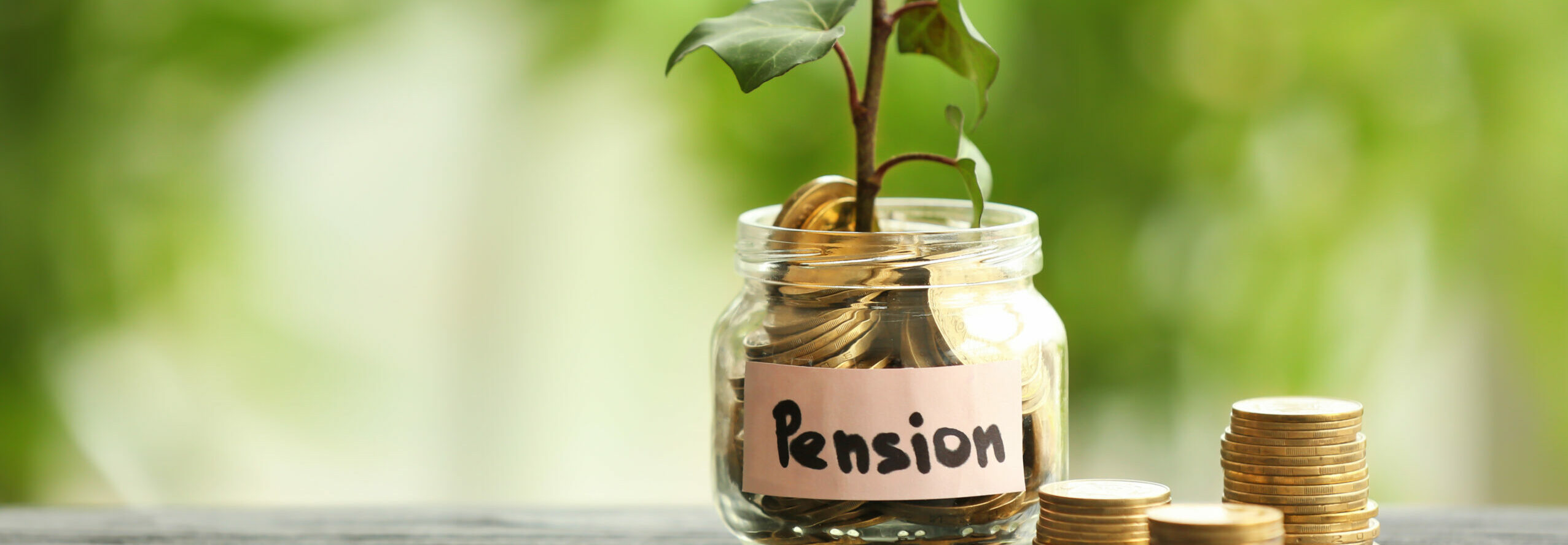 Plant for What happens to your pension when leave a job?